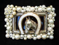 Prized Horse from Oklahoma