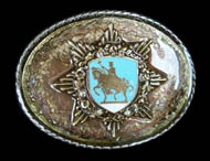 Sometimes Life is a Battle